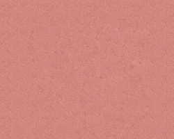 Q1640 Apricot