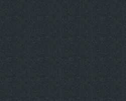 Q1020 Black
