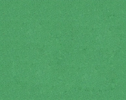 Q1420 Vineyard