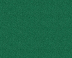 Q1430 Rainforest