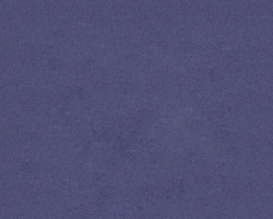 Q1820 Loganberry