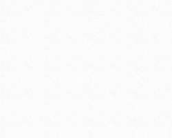 Q1010 White