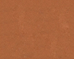 Q1510 Ginger