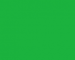 Safety Green