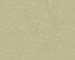 Q1240 Tan