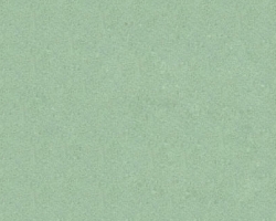 Q1440 Lemongrass