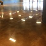 Interior view of a spacious room with polished concrete flooring reflecting numerous square patches of sunlight, possibly from a large window out of frame.