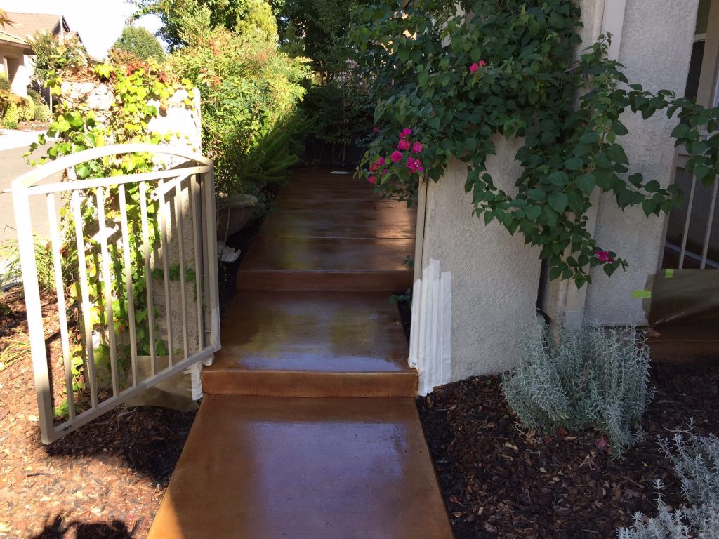 A garden path with terracotta stained concrete steps is flanked by lush greenery and a white metal railing, leading up to a residence. The path is bordered by flowering bushes and decorative plants, creating a welcoming approach to the home.
