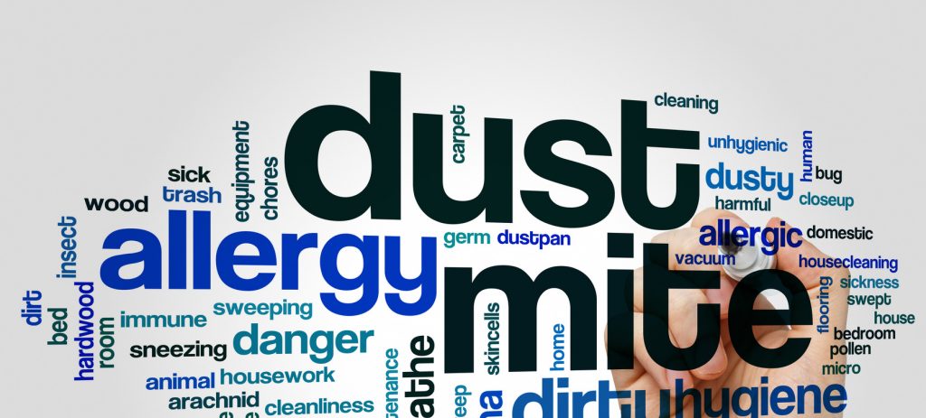 A conceptual word cloud related to dust allergies, with the words 'dust,' 'mite,' 'allergy,' and 'hygiene' in large, bold letters. Surrounding words include 'sneezing,' 'vacuum,' 'housecleaning,' and 'dustpan,' in various sizes and orientations, creating a cluster that conveys themes of cleaning, allergic reactions, and household maintenance.
