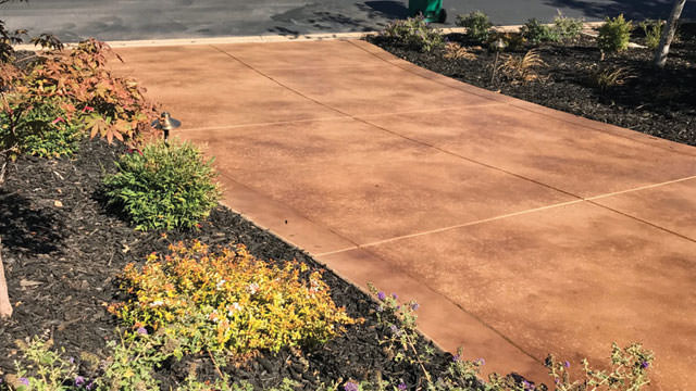 A warm-toned color stained concrete pathway bordered by fresh landscaping. The path is adorned with scoring lines creating large rectangular patterns. Surrounding the walkway are various plants with mulch, adding vibrant colors of green, yellow, and purple to the scene, indicative of a well-maintained outdoor space.