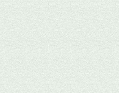 Concrete Stain - White