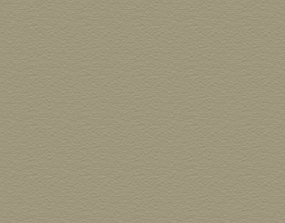 Concrete Stain - Natural