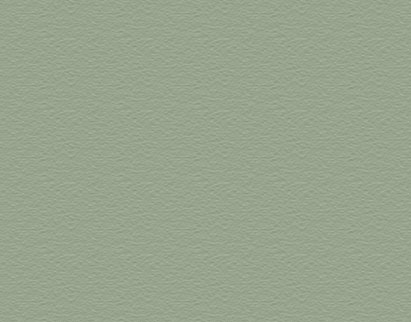 Concrete Stain - Petina