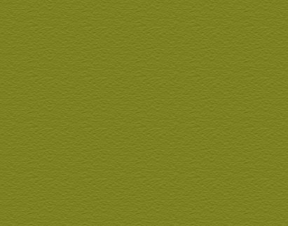 Concrete Stain - Moss Green