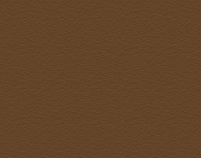 Concrete Stain - Bark Brown