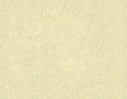 Close-up of a light beige textured surface with a consistent fine grain, resembling a wall or paper finish.