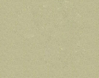 A close-up image of a finely textured surface with a pale olive green hue and a slightly rough appearance.