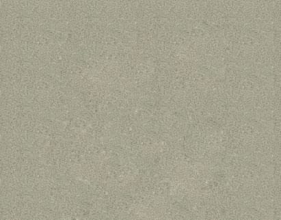 A close-up image of a fine, granular texture in a muted greenish-grey color, suggesting a plaster wall or stone surface.