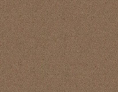 Close-up view of a rough, textured surface in a reddish-brown color, resembling coarse leather or sandpaper.