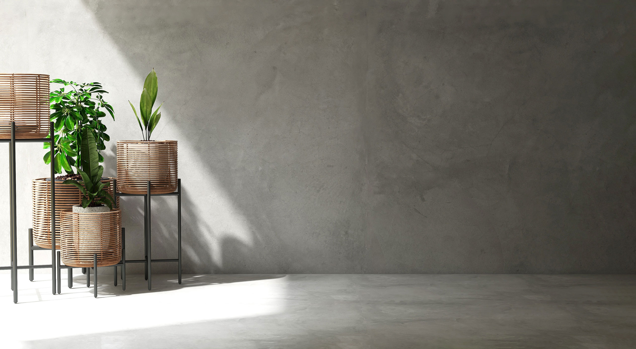 A room with cement floors and walls. There are 4 green plants sitting in wicker planters on metal legs.